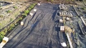 Как правильно использовать чёрный укрывной материал?