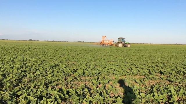 Каптора и Евролайтинг одно и тоже | Вносим гербицид на Неоме смотреть онлайн