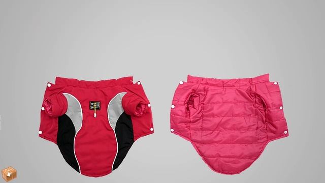 Одежда для собак чихуахуа смотреть онлайн