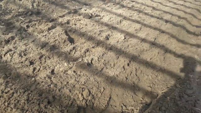 Пашем на мотоблоке мтз 05 в теплице ЭТО НУЖНО ВИДЕТЬ КАЖДОМУ ДАЧНИКУ смотреть онлайн