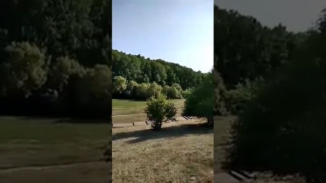 Дуб-долгожитель. Рассказывает Кирилл Костогрыз смотреть онлайн