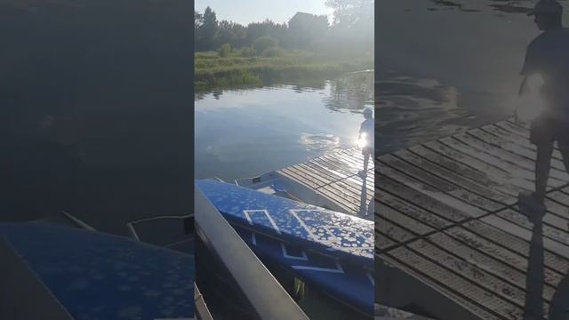 #ярославль #лето2023 #отпуск2023 #зубастикитурят смотреть онлайн