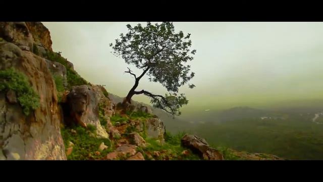 Avicii & Aloe Blacc | Wake Me Up | POLSKI TEKST смотреть онлайн