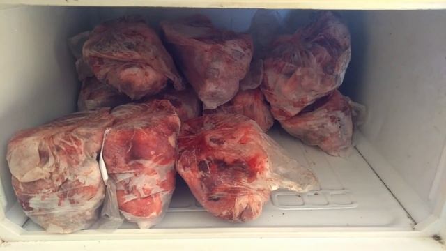 Какие вкусности купили своим животным / сколько это стоит ? смотреть онлайн