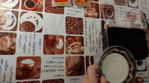 Петуния Джоконда Мини посадка.