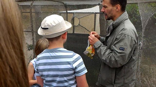 Куршская коса. Биостанция - 2. смотреть онлайн