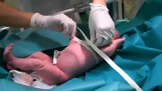 день рождения Мелиссы смотреть онлайн