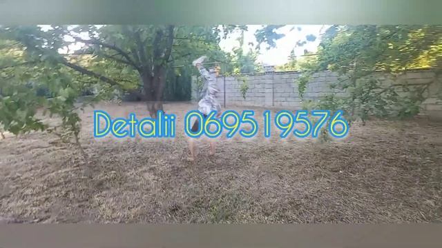 Cадово-огородные работы,благоустройство загородных домов, дач и коммерческих территории. смотреть онлайн