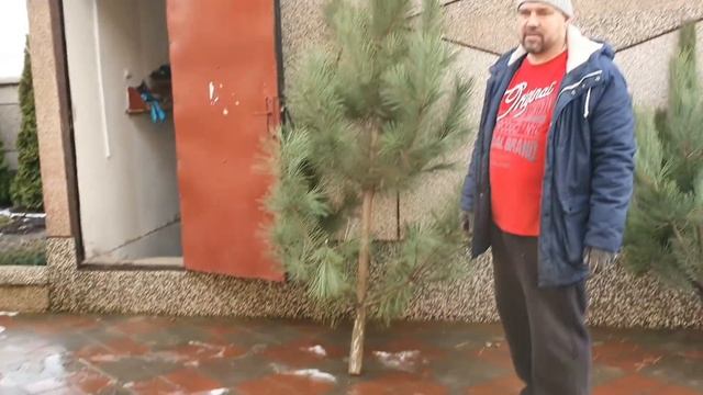 Предновогодняя суета. Убираем дом, устанавливаем ёлочку, загадываем снег ❄?. Готовим быстро-суп ?. смотреть онлайн