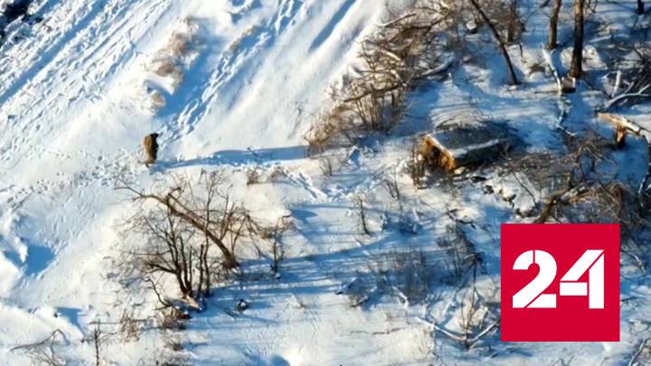 Зеленский вернулся из Давоса с пустыми руками - Россия 24 смотреть онлайн