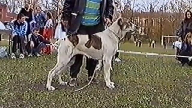 Кубок Байкала-98,19-20.09.1998г, Иркутск смотреть онлайн