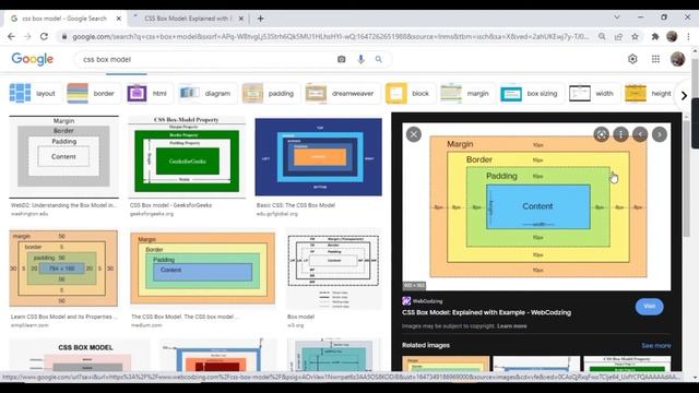 CSS Tutorial: CSS Box Model CSS Outline CSS Text смотреть онлайн