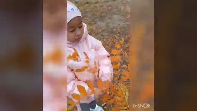 Қалалық "КҮЗ КЕРЕМЕТІ" сурет байқауына! 21 мектеп, 2 "а" сыныбы, Сақтапберген Нұрсая смотреть онлайн