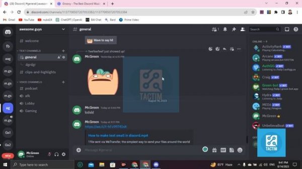 Groovy Bot Guide 2023: How to Add Groovy to Discord
