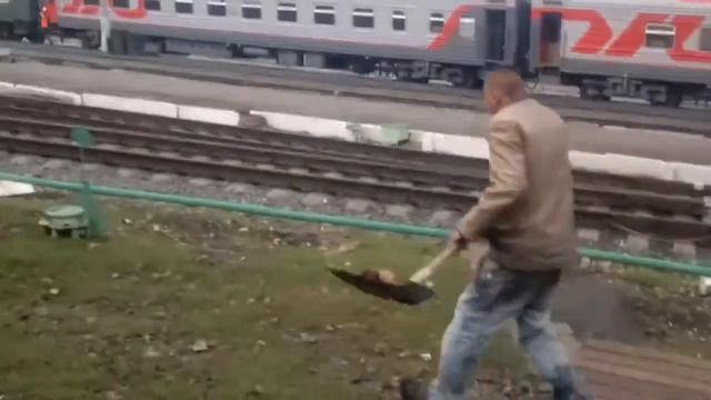 Школота [Заставили убрать говно] смотреть онлайн