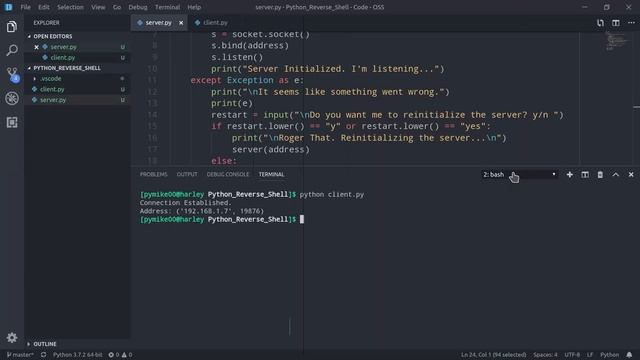 Speed Coding of a Python REVERSE SHELL - Python Programming смотреть онлайн