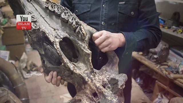 ДИНОЗАВРЫ! В КОРАНЕ ЕСТЬ УПОМИНАНИЕ О ДИНОЗАВРАХ? ЧТО ПРОРОК ГОВОРИЛ О НИХ? смотреть онлайн