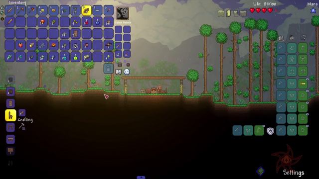 Terraria FTW :: For The Worthy :: FTW-1 смотреть онлайн