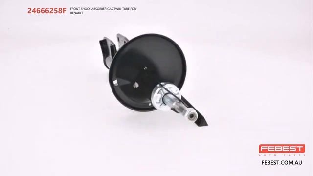 24666258F FRONT SHOCK ABSORBER GAS.TWIN TUBE FOR RENAULT смотреть онлайн