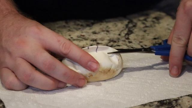 Ball Python Egg Cutting | DID WE GET BELS | FEALYS CLUTCH 2022 | Clutch 3 смотреть онлайн