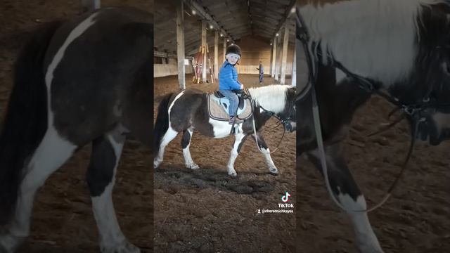 Катание на пони.mp4