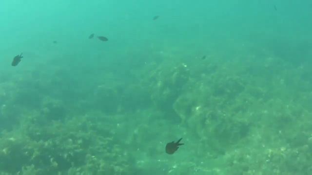 Море под водой смотреть онлайн