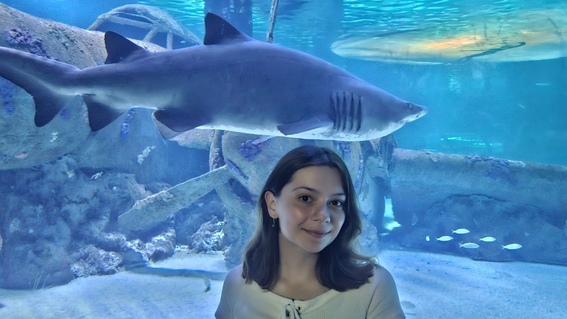 клип nepeta страшилки смотреть онлайн