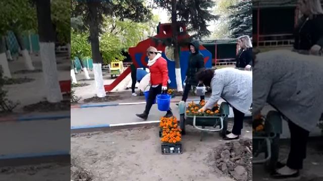 клумба звезда победы смотреть онлайн