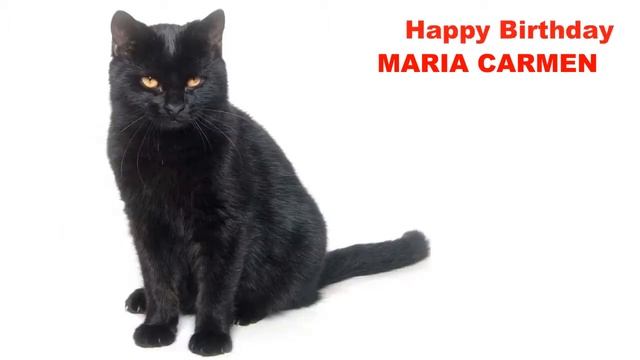 MariaCarmen Cats Gatos - Happy Birthday смотреть онлайн