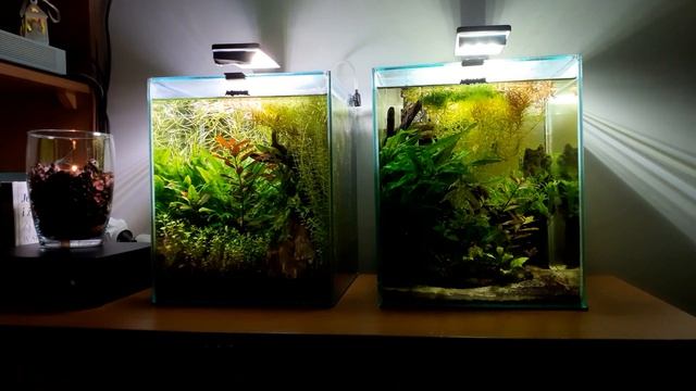 (163) Wszystkiego dobrego w Nowym Roku 2020 смотреть онлайн