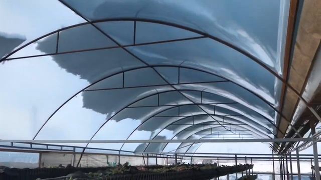 Проверка теплицы на прочность. check the strength of greenhouses. смотреть онлайн