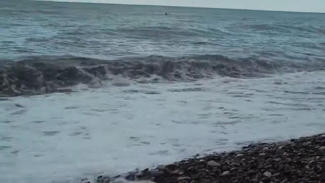 "Криница 18.08.2016 Шум моря." смотреть онлайн