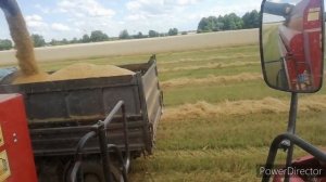 Комбайном Палесье КЗС-1218 на уборке третикале!