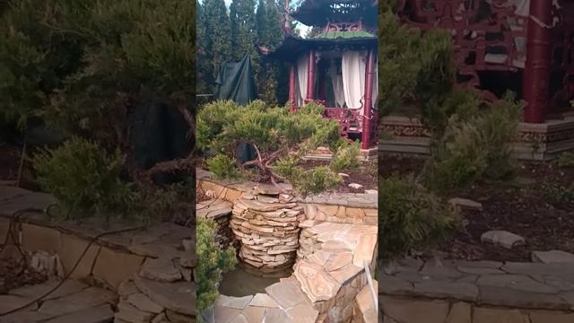 Розовый вечер смотреть онлайн