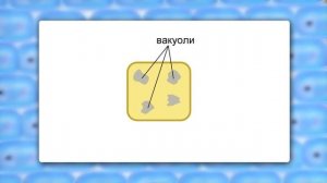 Жизнедеятельность клетки, её деление и рост. Видеоурок по биологии 5 класс