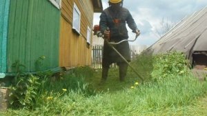 Покос травы мотокосой Stihl fs 130.