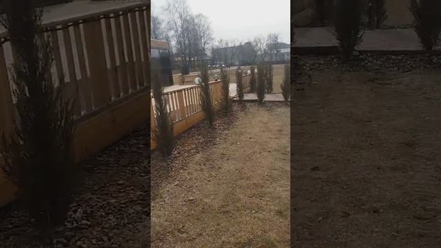 Городской пляж)))Солнечногорск смотреть онлайн