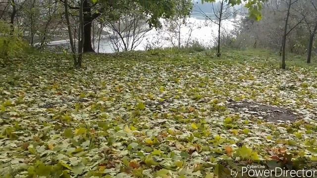 Галка роет / Осенняя прогулка смотреть онлайн