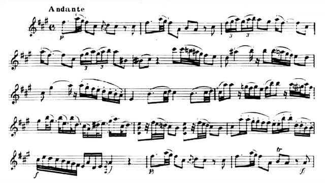 Play the Violin sheet music with L' Archicembalo/ Vivaldi: Sinfonia for strings in b minor, RV168 смотреть онлайн