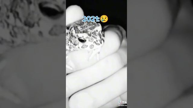 лягушки 2021 и лягушки 2022 смотреть онлайн