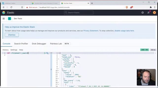 Elastic Stack on Kubernetes, with Skaffold смотреть онлайн