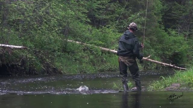 В дебрях Архангельской часть2 смотреть онлайн