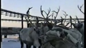 Пелятка - Купол.mp4