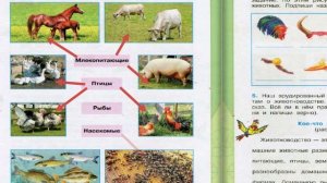 Окружающий мир. Рабочая тетрадь 3 класс 2 часть. ГДЗ стр. 35 №3