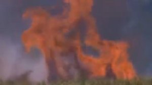 СЕМЕЙНЫЙ ДОБРЫЙ ФИЛЬМ_ДЛЯ ДЕТЕЙ И ВЗРОСЛЫХ.#длядетей #семейный #кино2021 #фильмы #фильмы2021 #кино