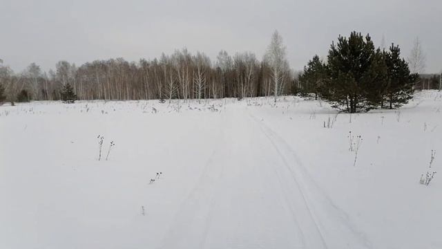 Радиальный зимний одиночный поход 18.02.23 смотреть онлайн
