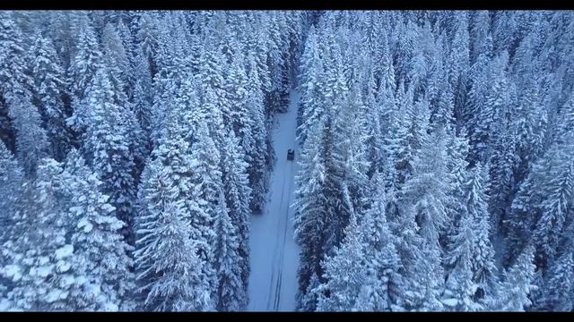 самый крутой клип про природу смотреть онлайн