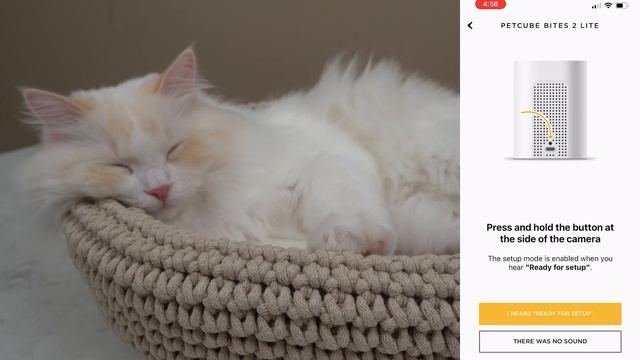 Pet Camera that Tosses Treats (Petcube Bites 2 Lite Review) | The Cat Butler смотреть онлайн