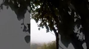 Антиреспект "УБИТАЯ В ДОСКУ ОСЕНЬ"