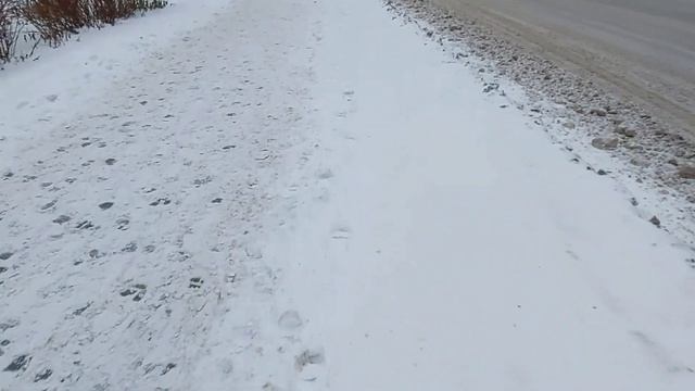 НОВОСИБИРСК ЗАСЫПАЛО СНЕГОМ/КАК ЧИСТЯТСЯ ДОРОГИ И ТРОТУАТУРЫ/ ПРОВОДИМ НАРОДНЫЙ РЕЙД/06.11.2021 4К